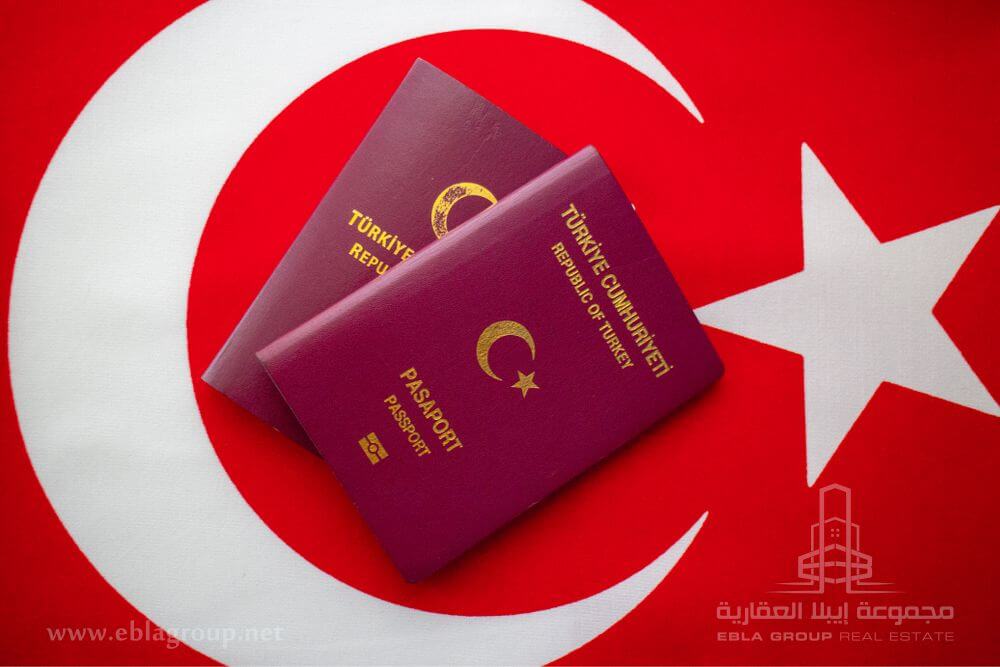 اخذ تابعیت ترکیه