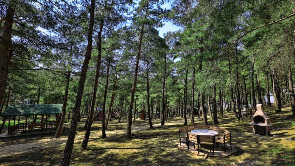 آتاتورک پارک