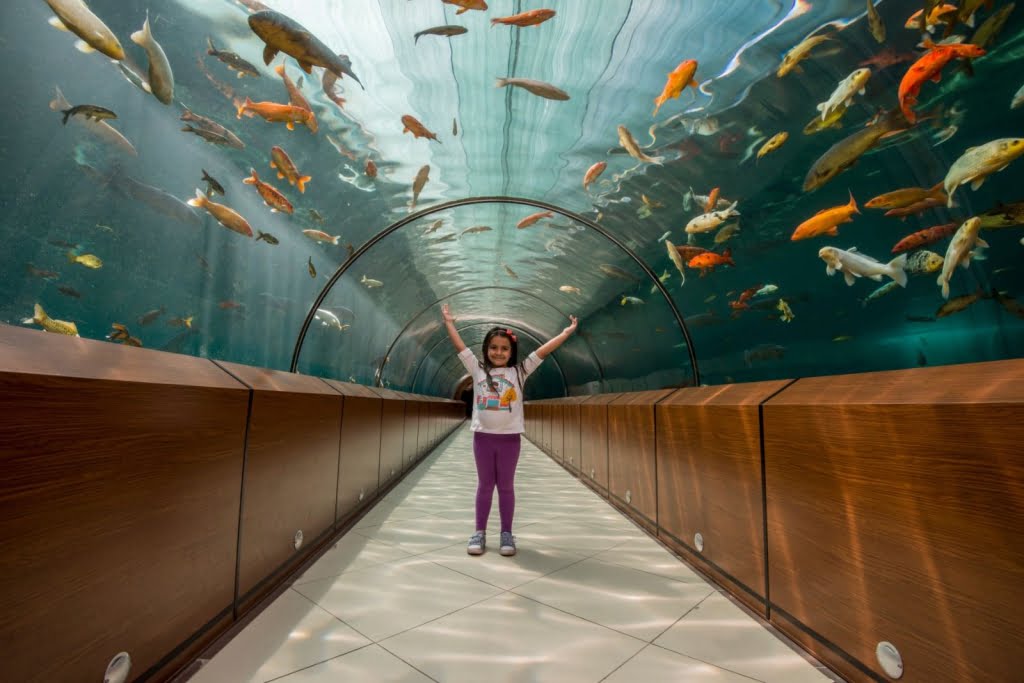 باغ در بورسا