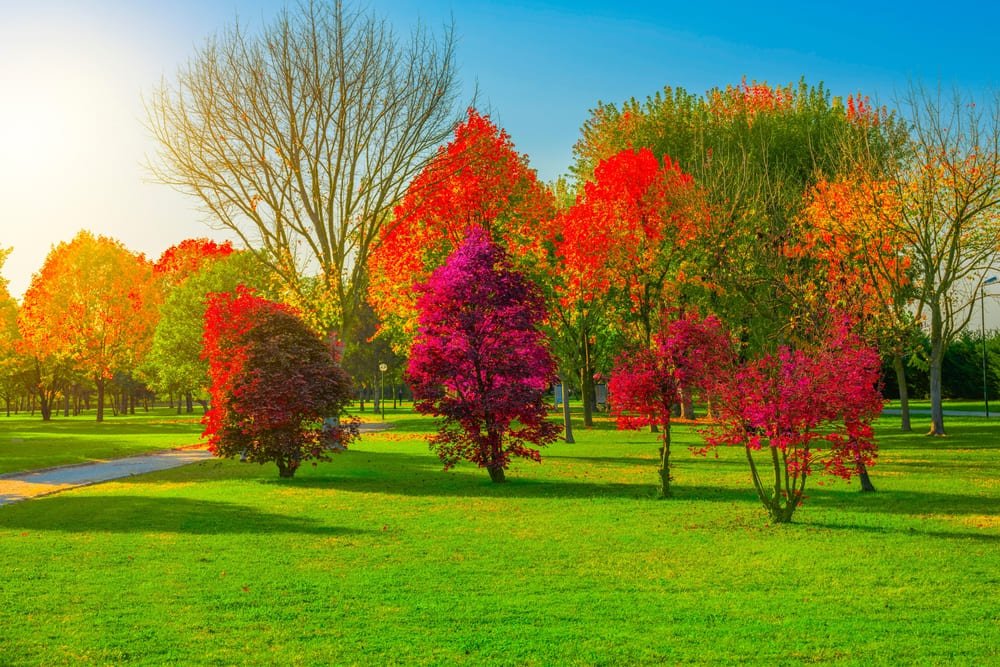 باغ وپارک ها در بورسا ترکیه