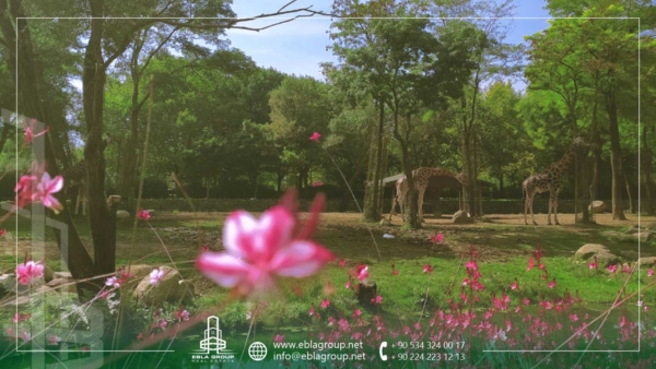 حدائق بورصة