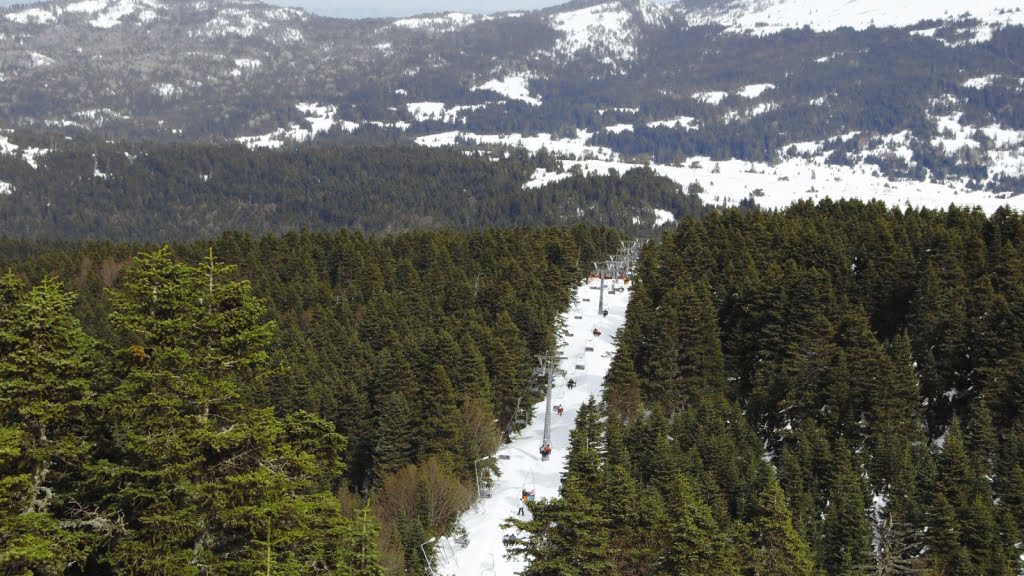 جنگل ها و طبیعت در شهر بورسا ترکیه
