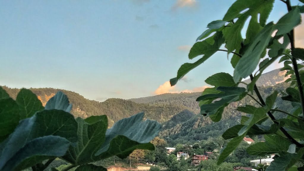 فعالیت های اقتصادی در منطقه کستل