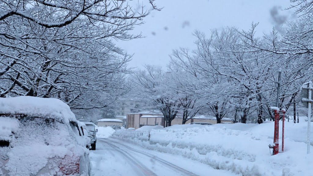 فلات کیلیس-کوکایلا