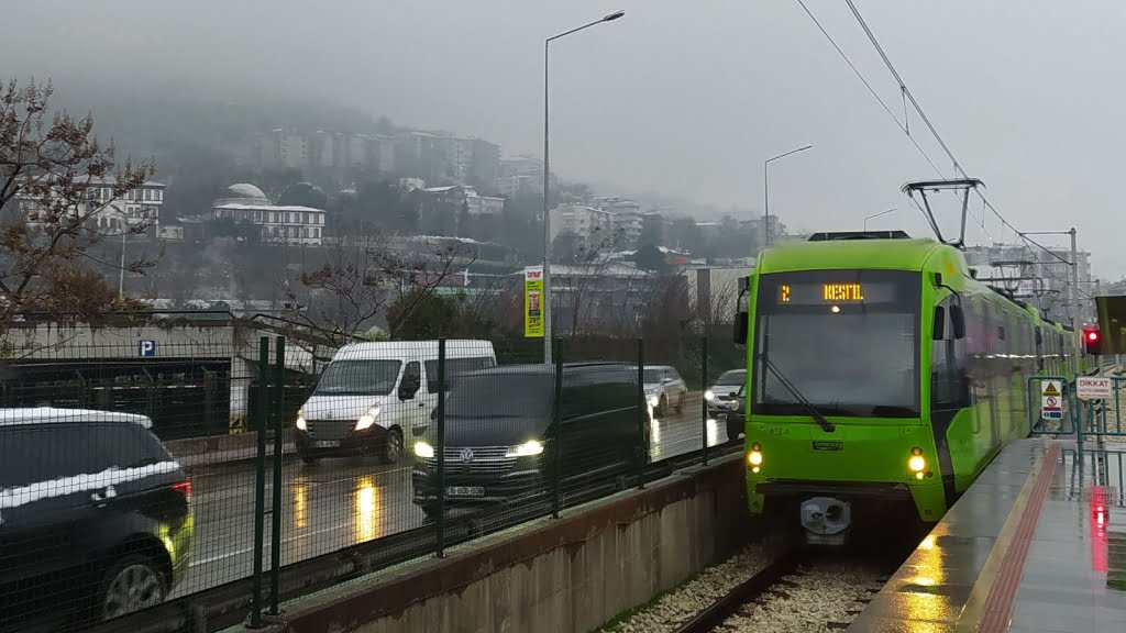 هادی ها در بورسا