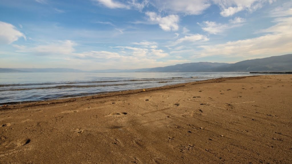 سواحل بورسا