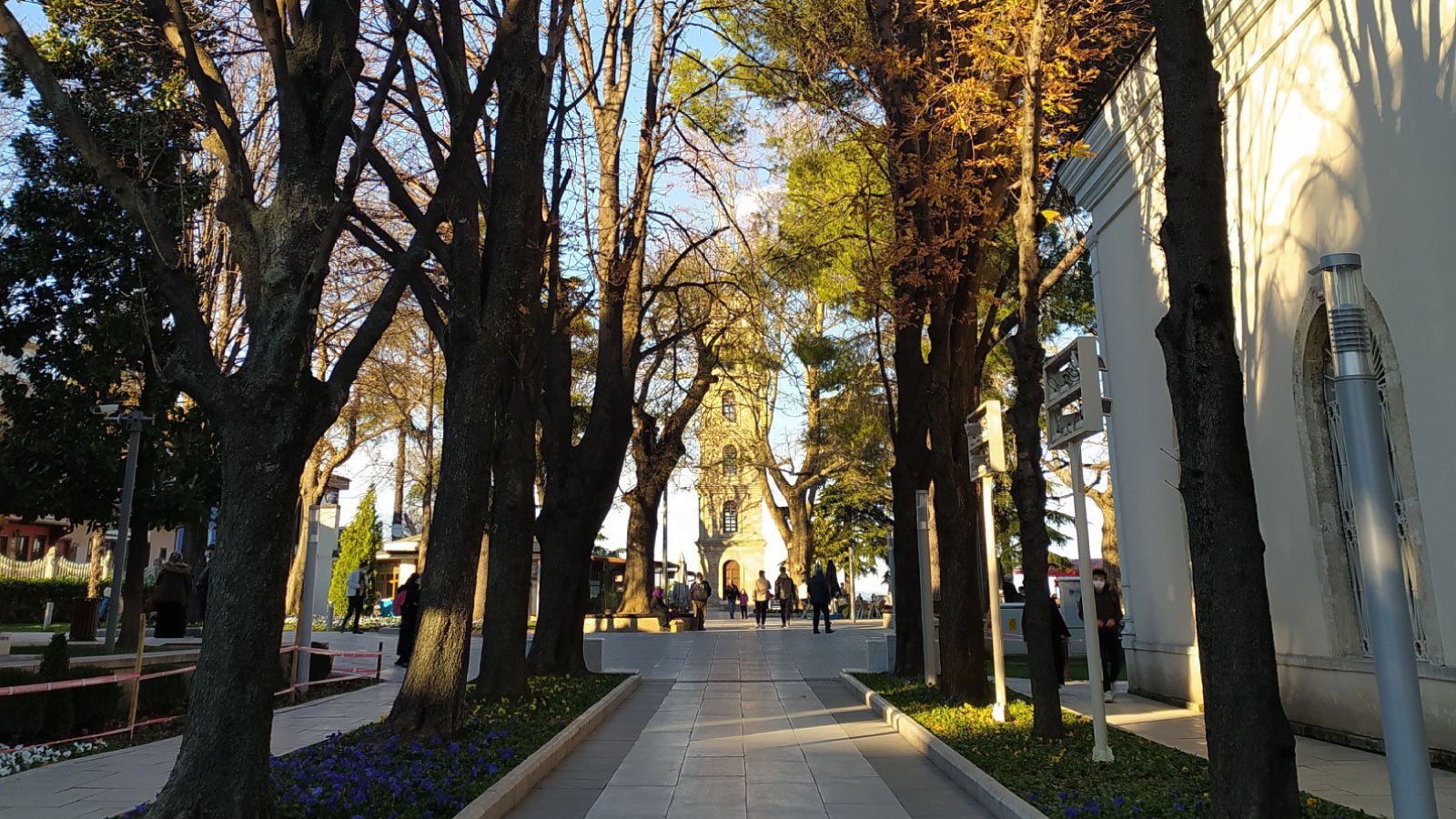 أهم أعمال وإنجازات تورغوت ألب