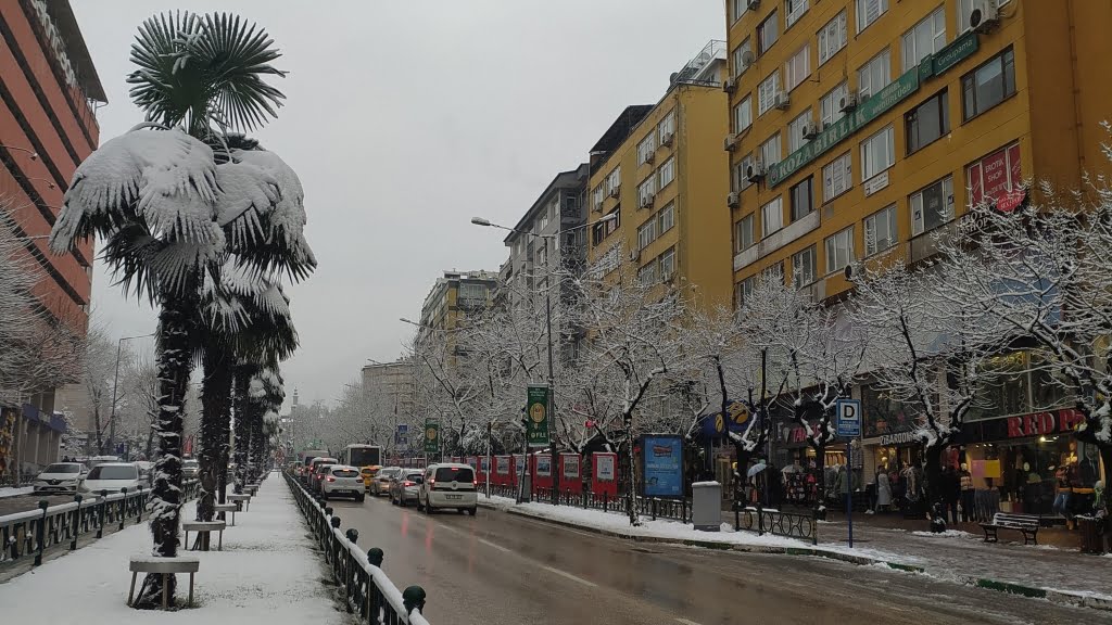 زندگی در بورسا ترکیه