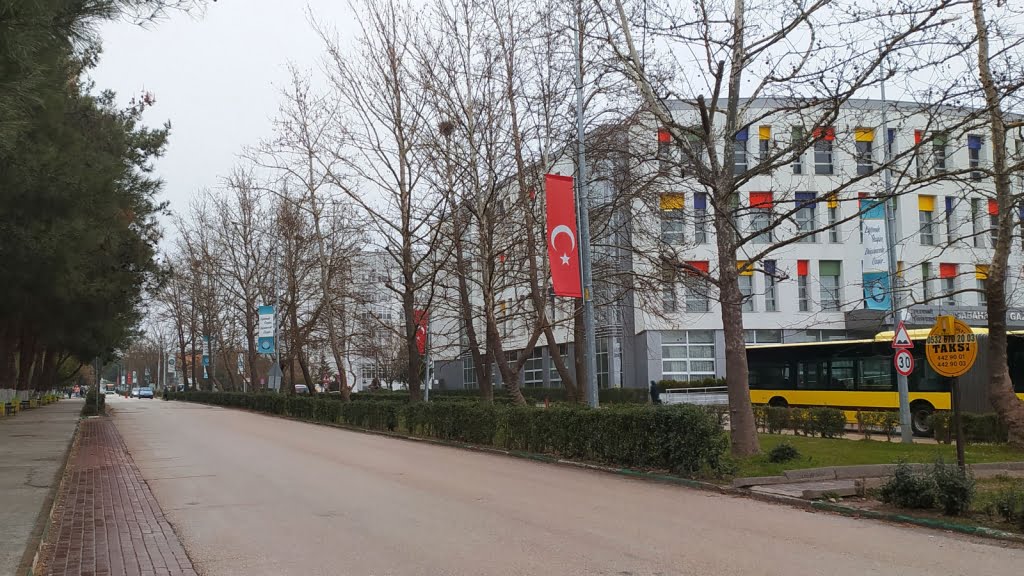 دانشگاه اولوداغ در بورسا