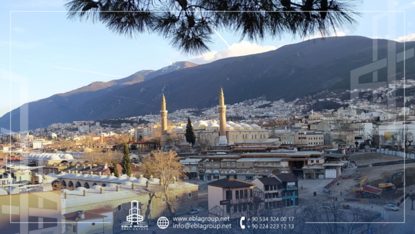 أحياء مدينة بورصة