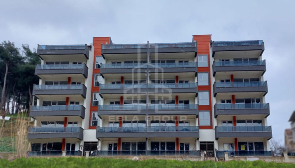 عقارات للبيع عثمان غازي في بورصة