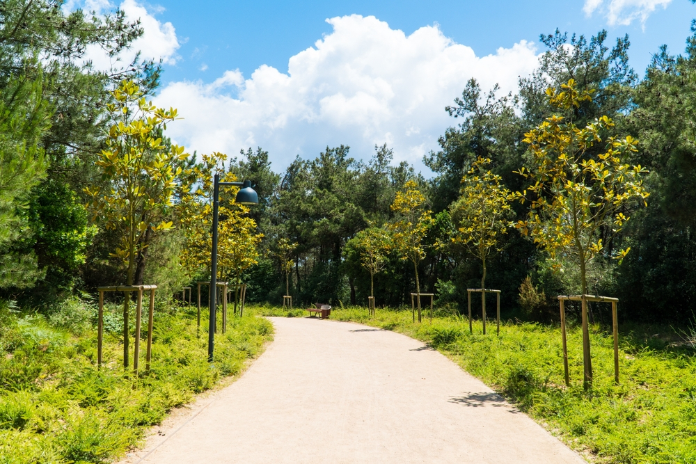 وصف حديقة كولتور بارك الثقافية في بورصة