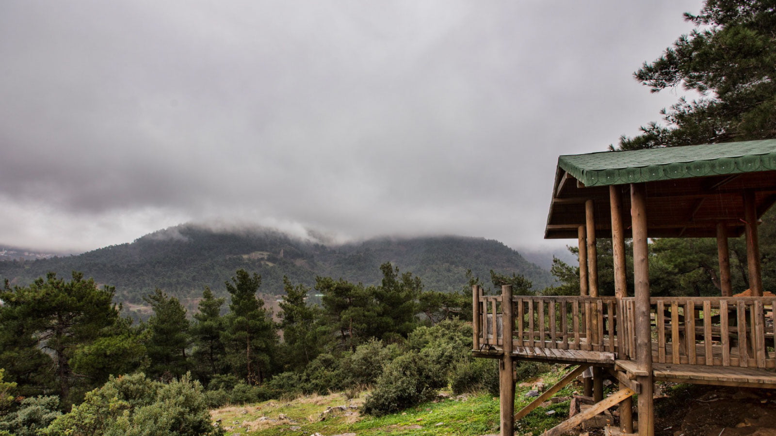 غابات أتاتوركحدائق وغابات بورصة