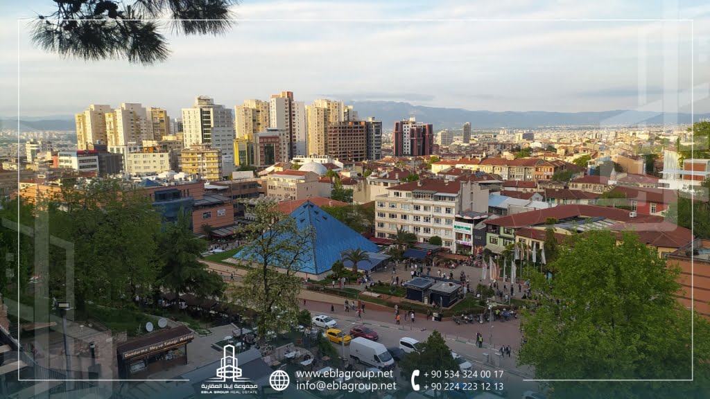 أهم المواقع في بورصة