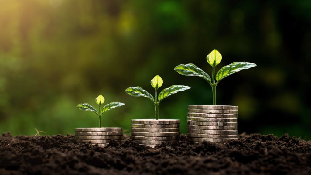 سرمایه گذاری کشاورزی در ترکیه