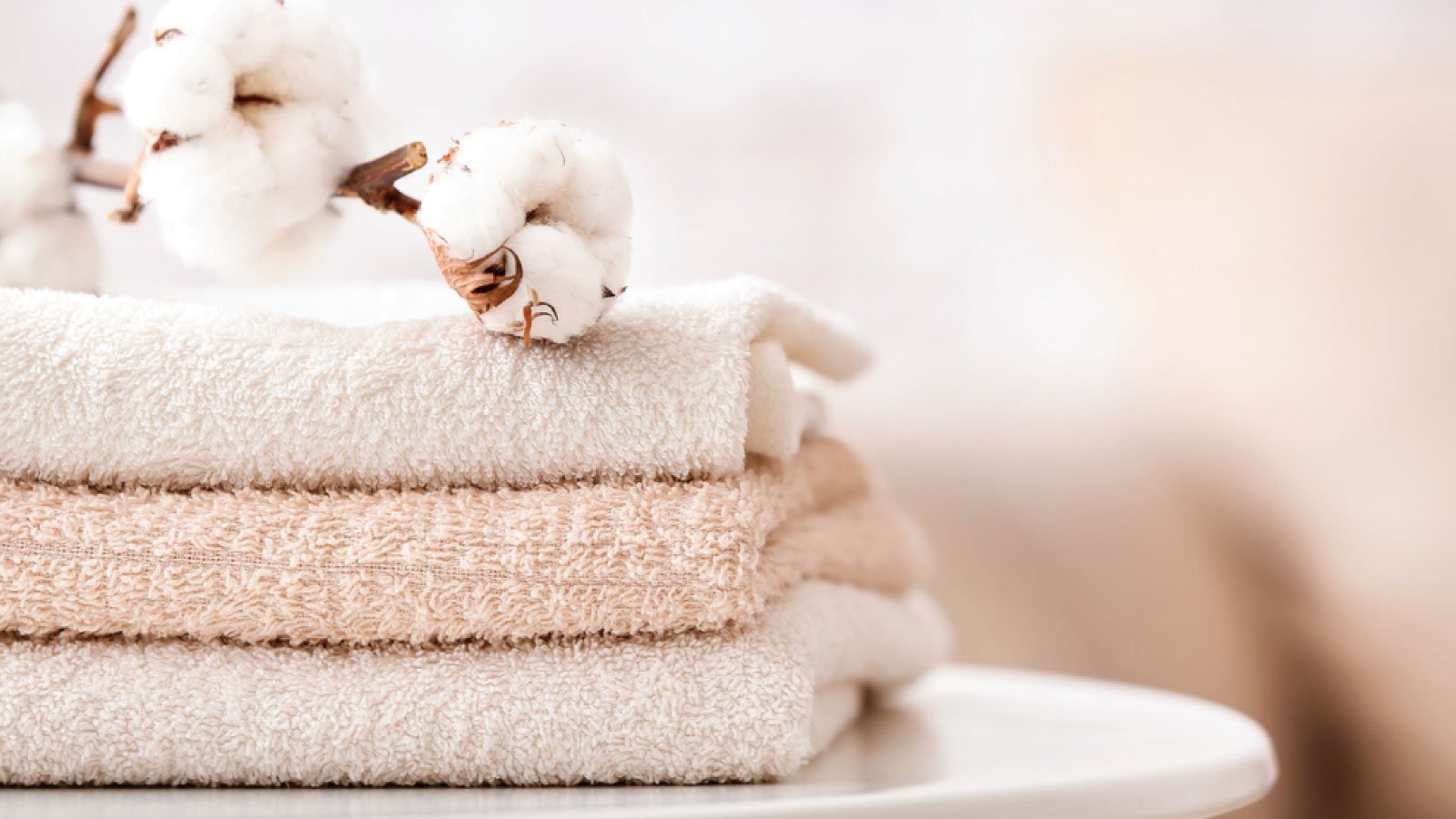 مناشف بورصة