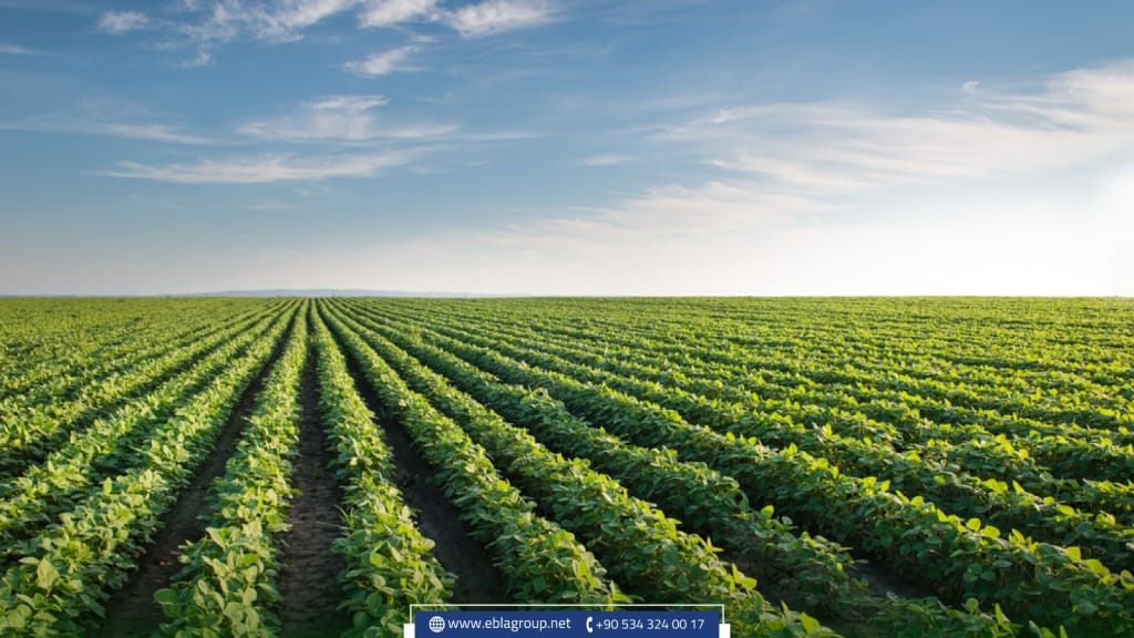 Buying land in Turkey