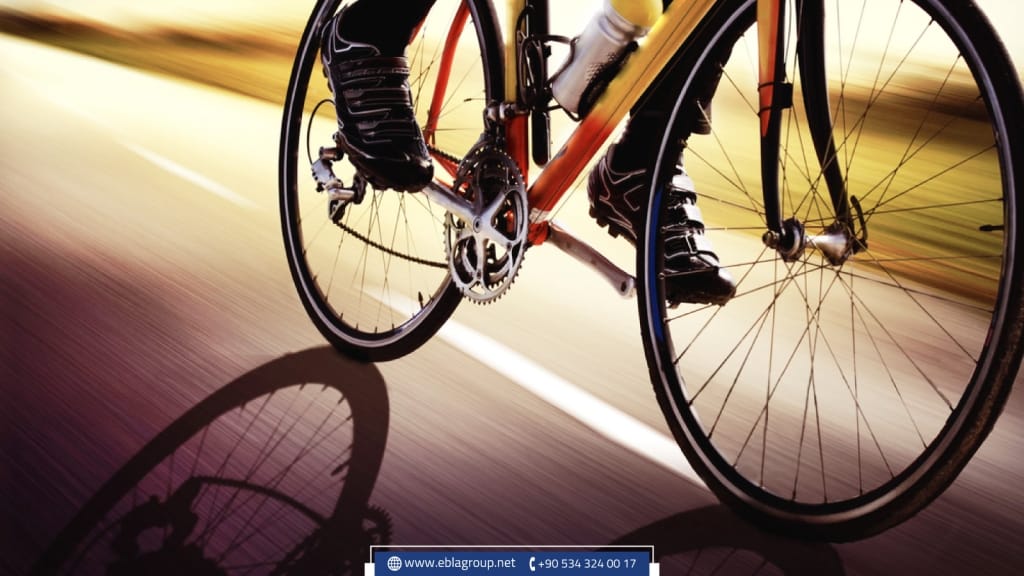 استخراج شهادة سواقة تركية للأجانب