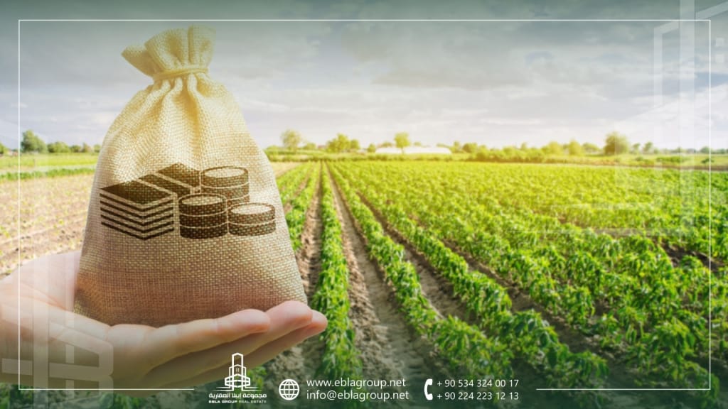 المنتجات الزراعية في تركيا