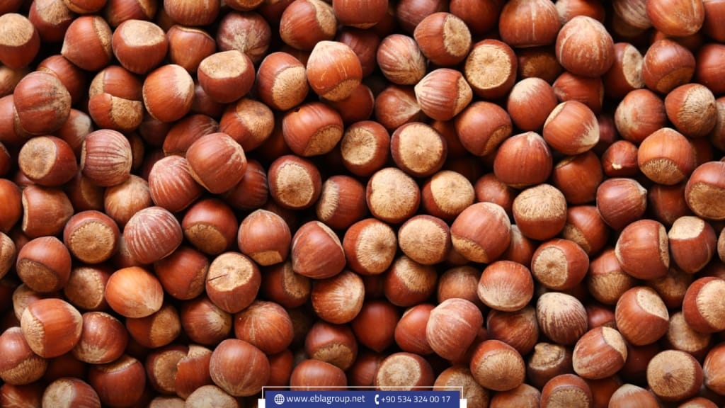 الكستاء في تركيا