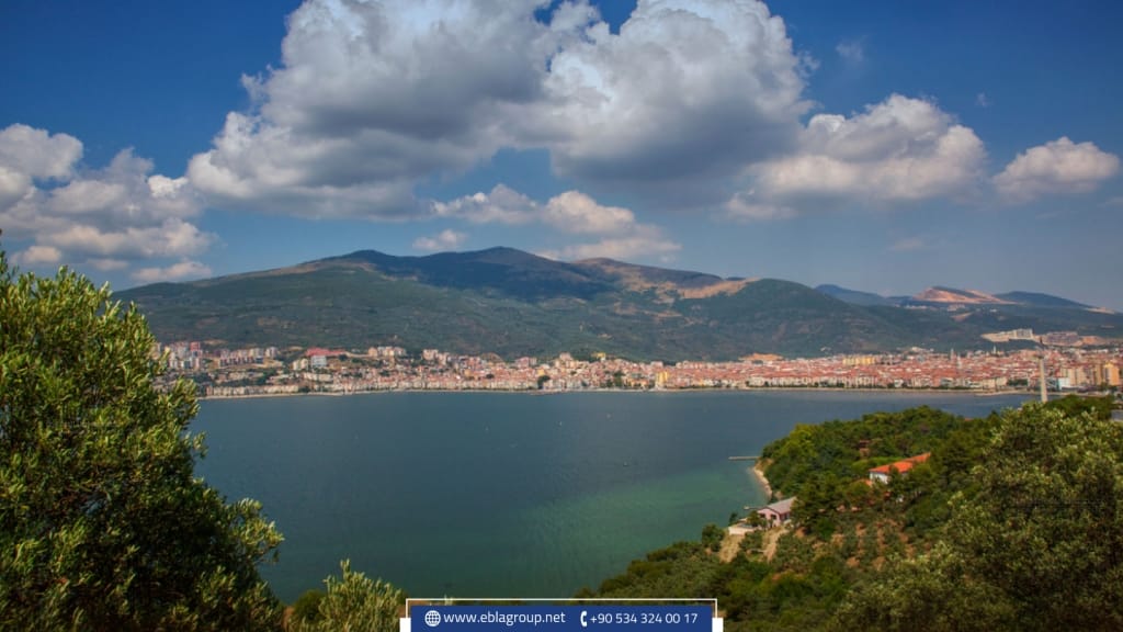 عقارات منطقة نيلوفر في بورصة