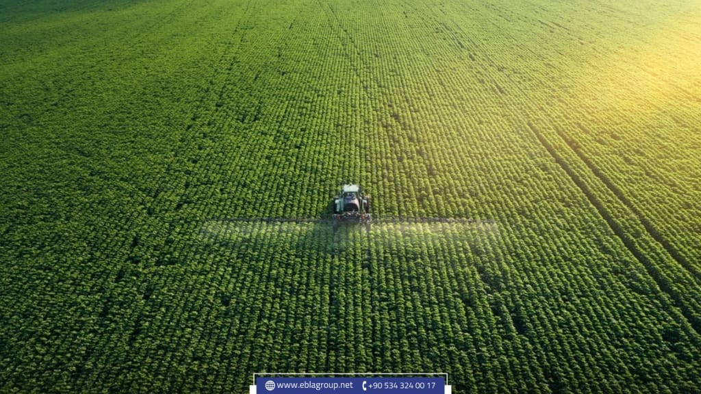 الاستثمار الزراعي في تركيا