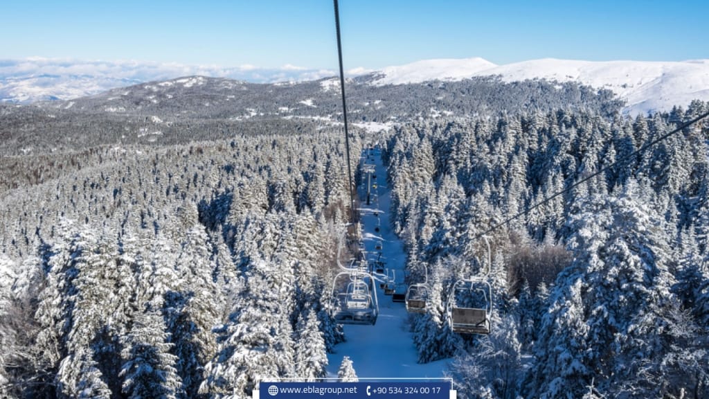 الاستثمار العقاري في بورصة