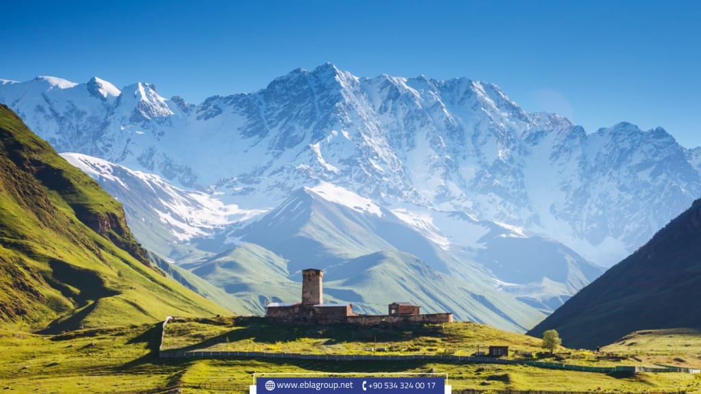 الجنسية التركية