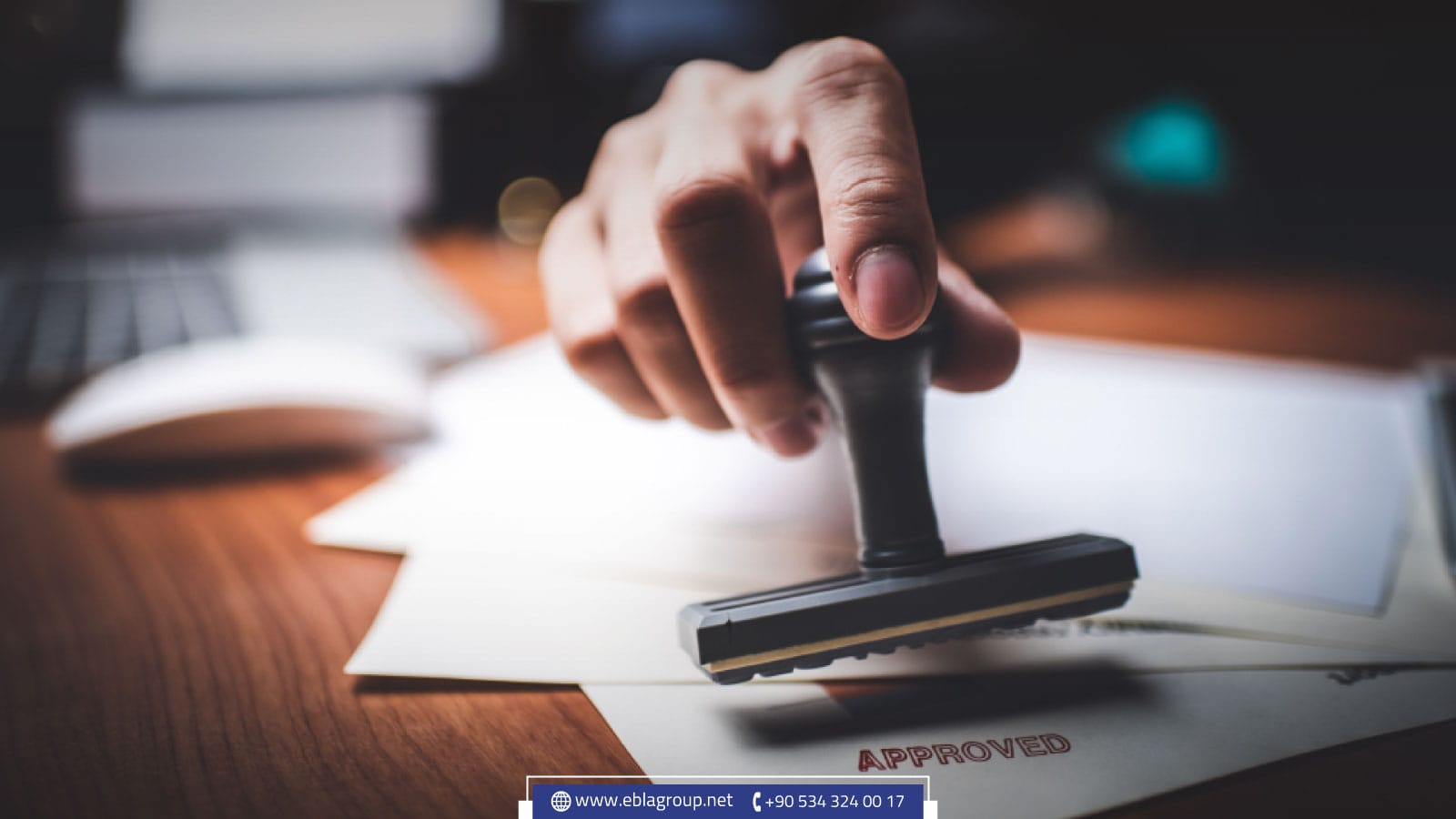 شروط تأسيس شركة في تركيا