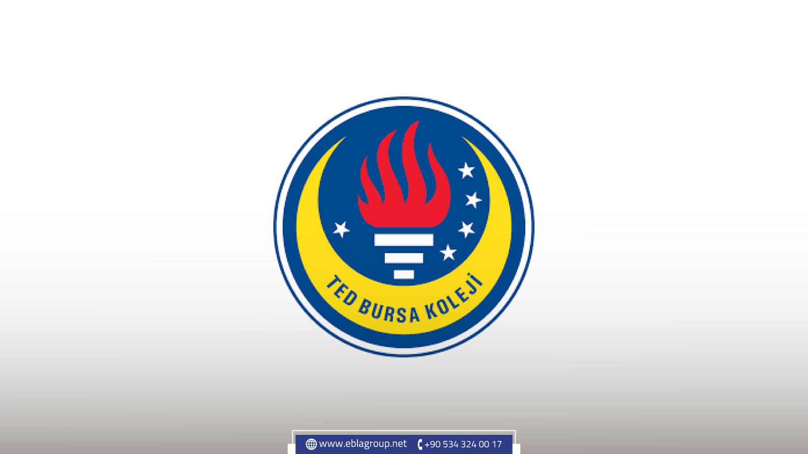 مدرسة تيد بورصة (Ted bursa)