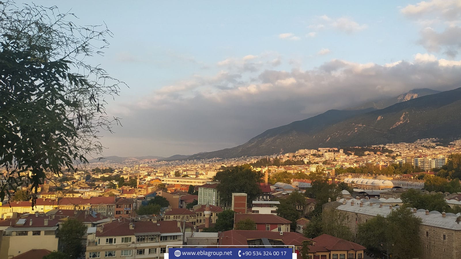 تمهيد حي كايابا في بورصة