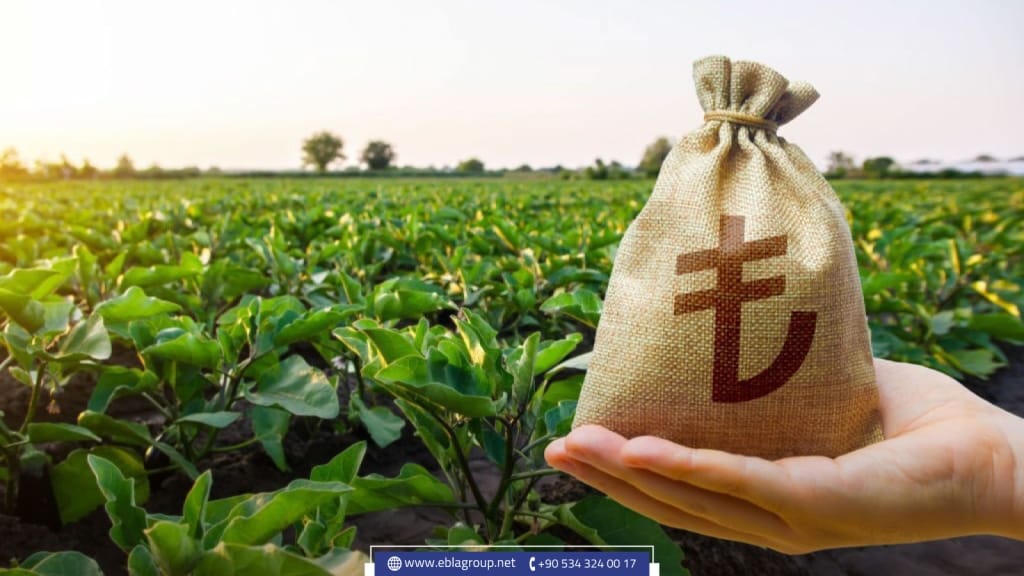 Agricultural land in Turkey