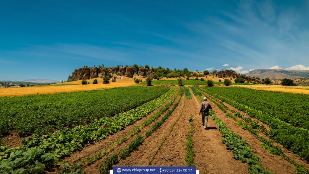 أول شركة عقارية في بورصة