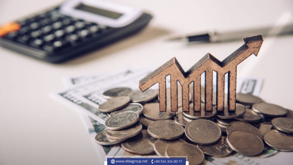 استثمار في تركيا للحصول على الجنسية