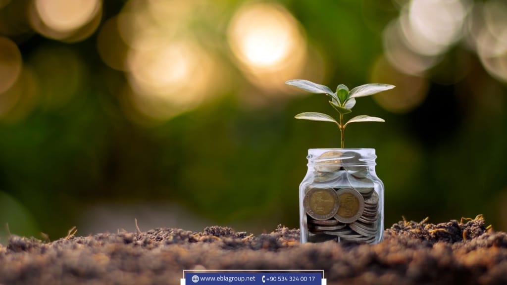 Agricultural land in Turkey