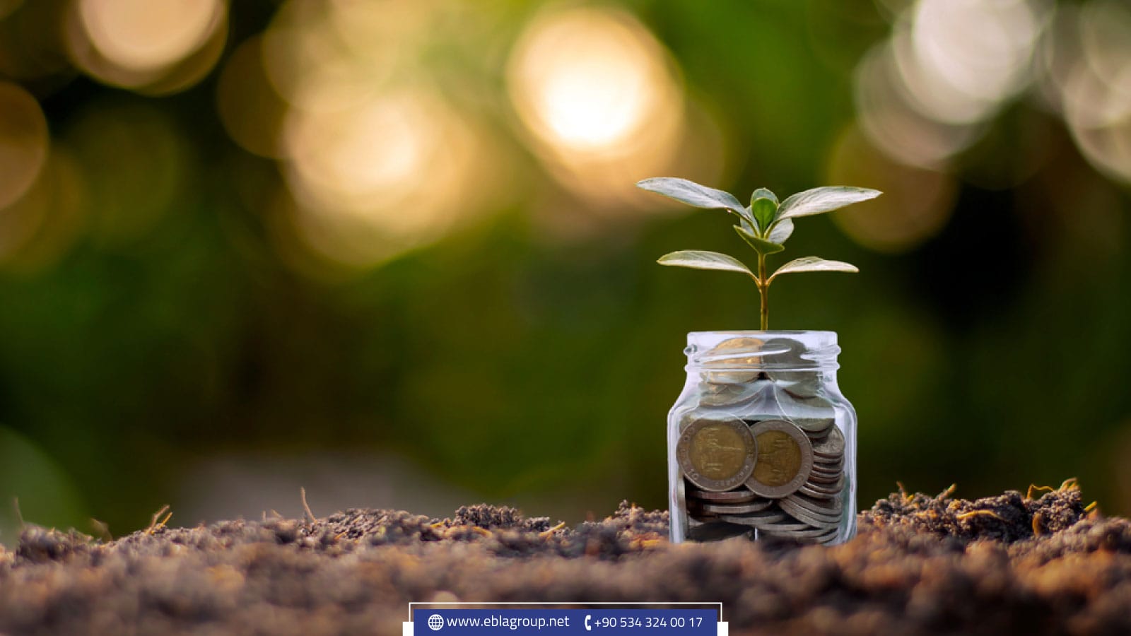 أفضل المناطق لشراء أراضي زراعية في تركيا