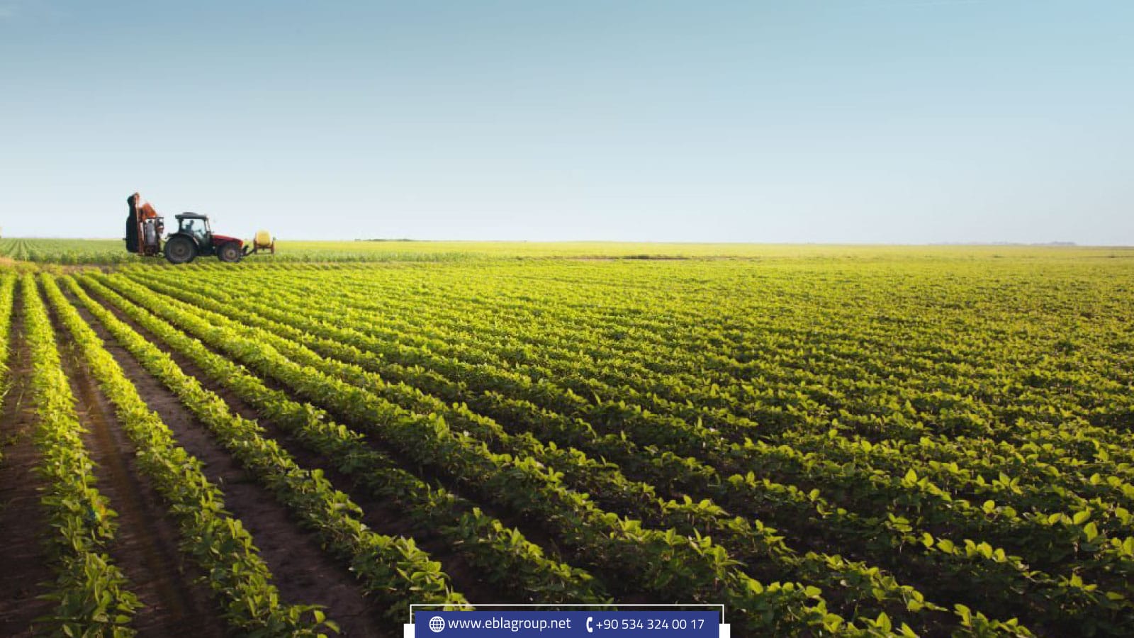 أفضل المشاريع الاستثمارية على الأراضي الزراعية في تركيا