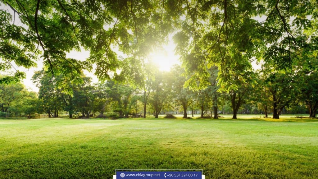 منطقة حسن آغا في بورصة