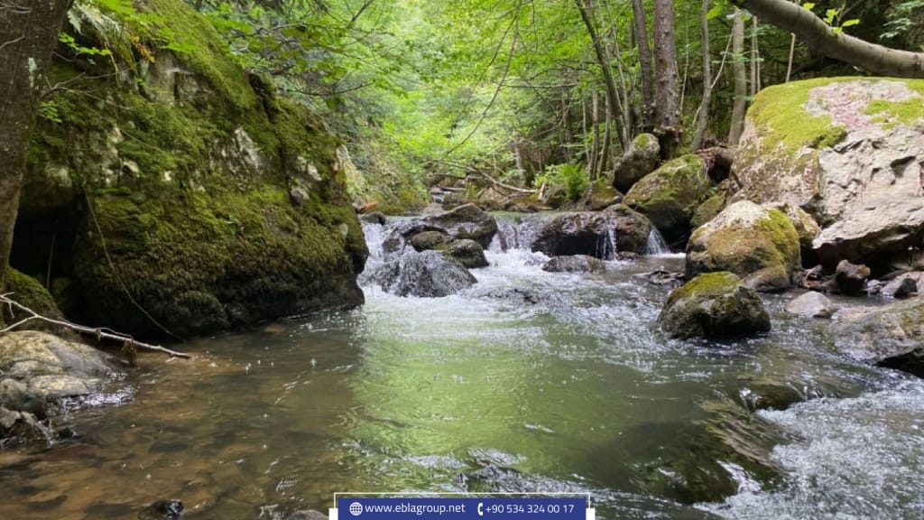 Turkey's Best Cities in terms of climate