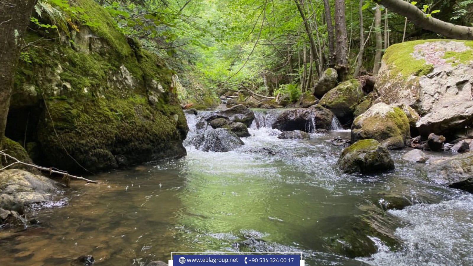 مدينة يالوفا في تركيا