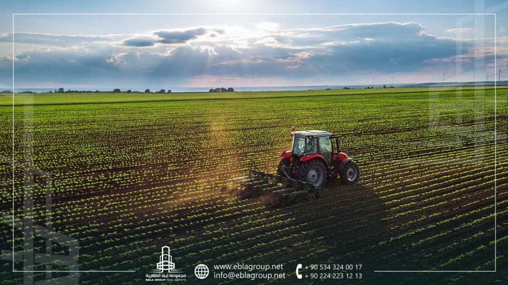 شراء الأراضي الزراعية في تركيا