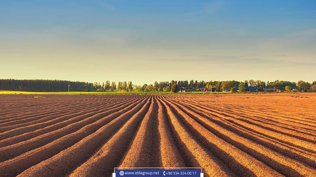 أسعار الأراضي الزراعية في تركيا