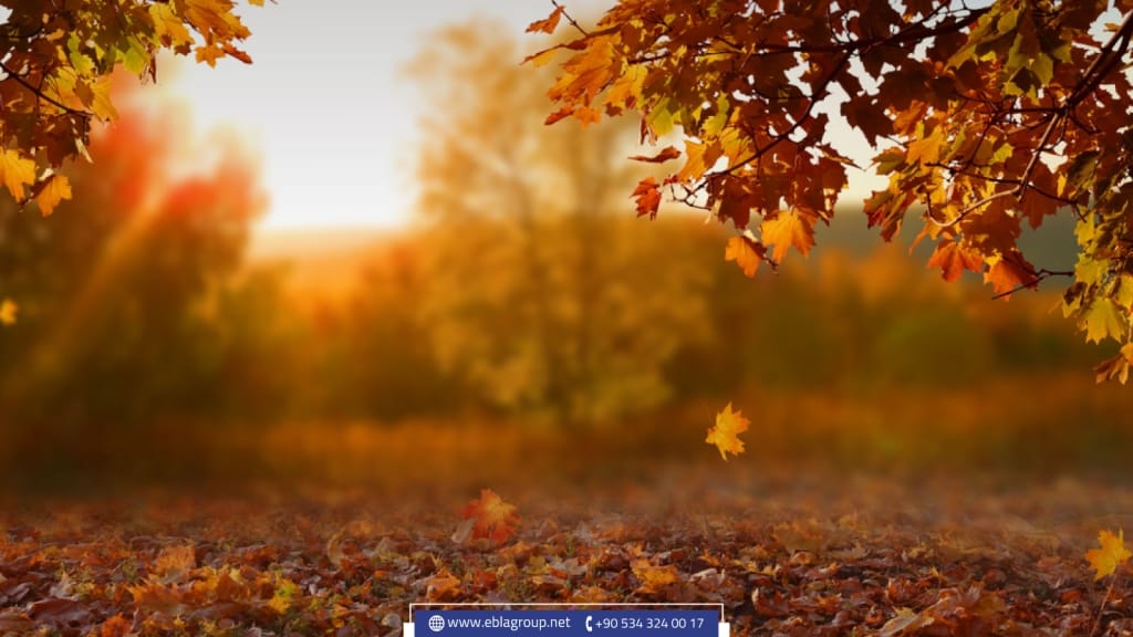 فصل الخريف في مدينة بورصة