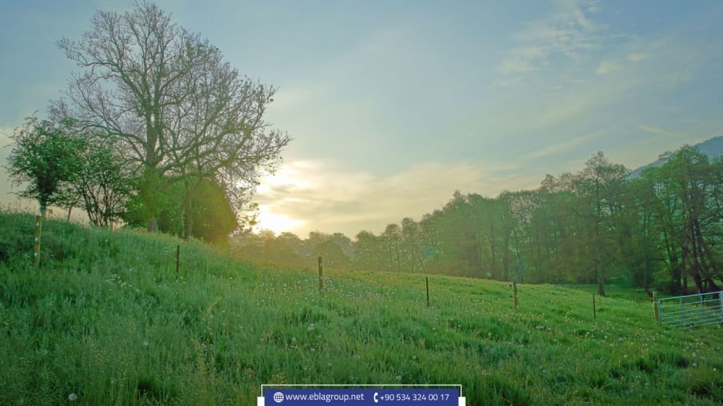 Ecological farms in Turkey