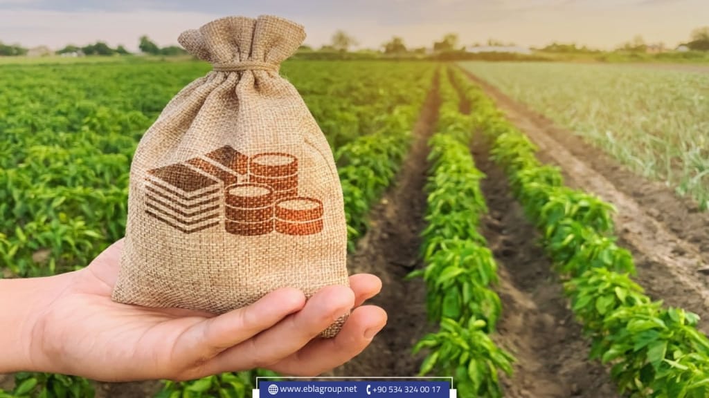 Buying agricultural land in Turkey