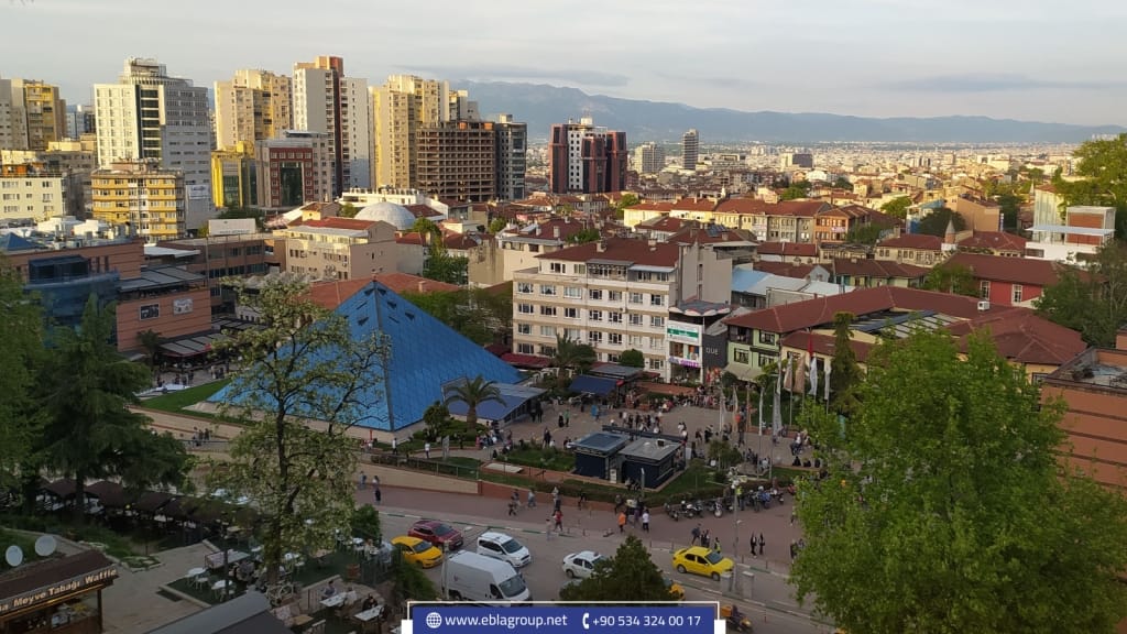 Why do foreign investors choose Turkey