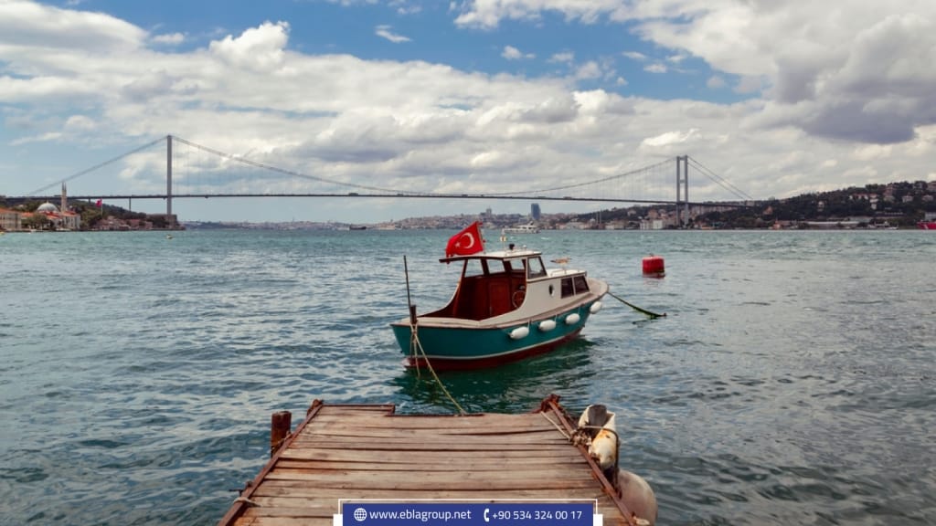 turkey in summer