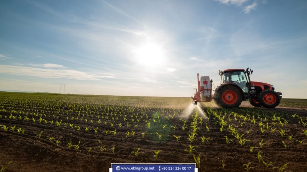 Agriculture in turkey
