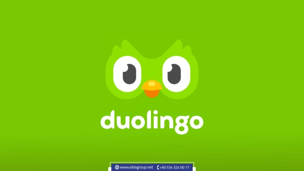 duolingo Turkish