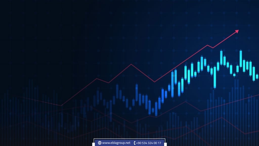 Investing in stocks in Turkey